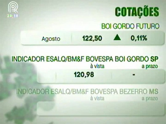 Mercado do boi gordo enfrenta dificuldades