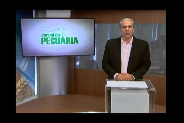 Cepea: preços do suíno vivo e carne são amenizados