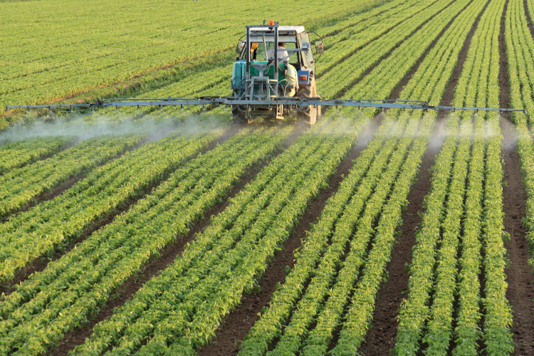 produtos, agrotóxicos, agroquímicos, defensivos, glifosato, agroquímicos, inseticida, defensivos - ministério da agricultura