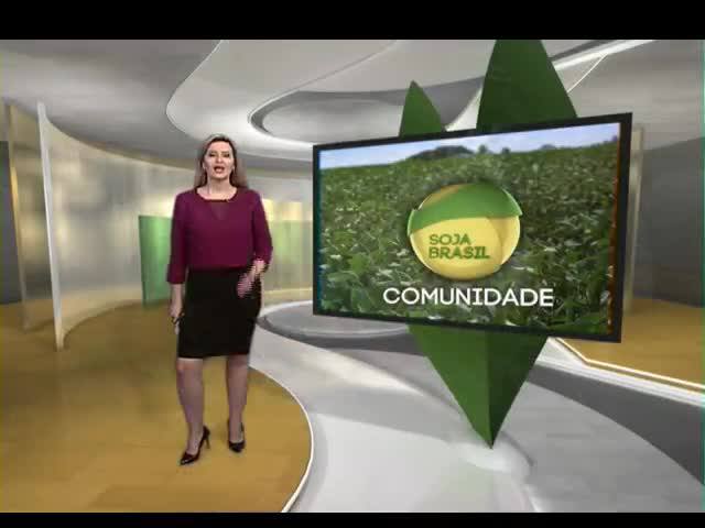 Comunidade Soja Brasil - 14/10