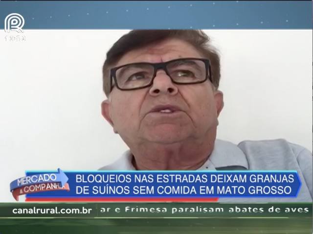 MT: bloqueio nas estradas deixa suínos sem comida