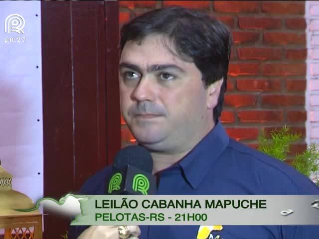 Canal Rural exibe leilão Cabanha Mapuche