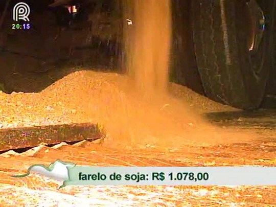 Pecuarista paga quase 9% a menos pelo farelo de soja em setembro