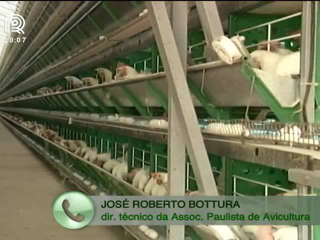 Rede de fast food adere à onda do bem-estar animal