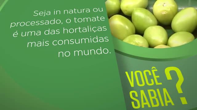 Melhor molho de tomate do mundo - Blog Minuto do Sabor