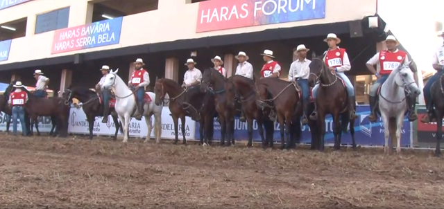 Assista à 38ª Exposição Nacional do Cavalo Mangalarga Marchador