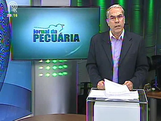 Maioria dos avicultores do Paraná trabalha no prejuízo