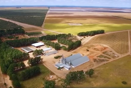 Produtividade, Embrapa, àrea agrícola