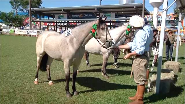 Encontro define cavalos para a Expointer 2018