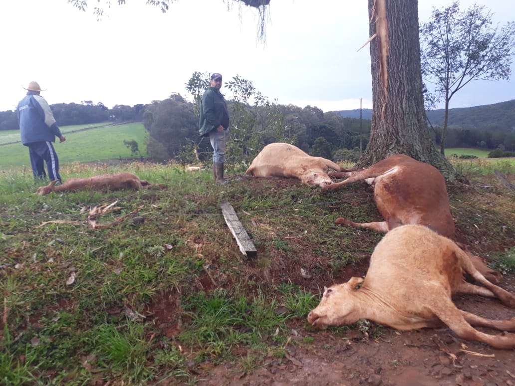 Foto: Ângela Maria da Silva / Arquivo Pessoal 