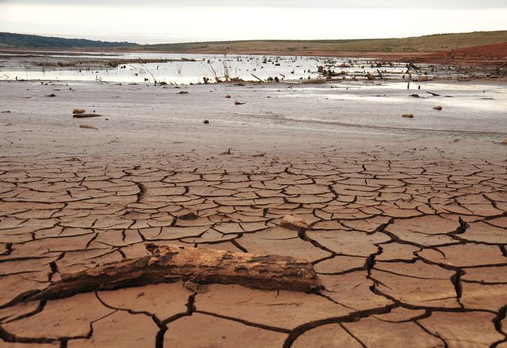 RuralBR 1 Ano: relembre os principais assuntos do agronegócio que foram notícia nos últimos 12 meses