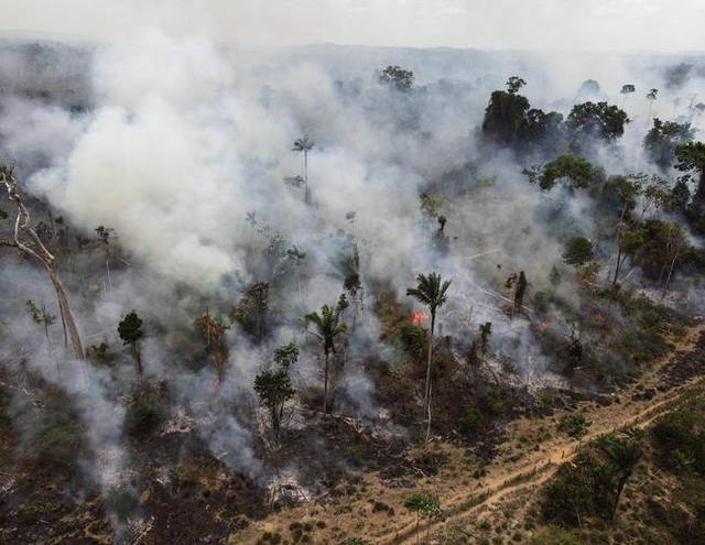 Bancada ruralista insiste em prever anistia a desmatadores no Código Florestal