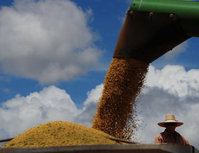 USDA: condição de safra de soja americana se mantém estável