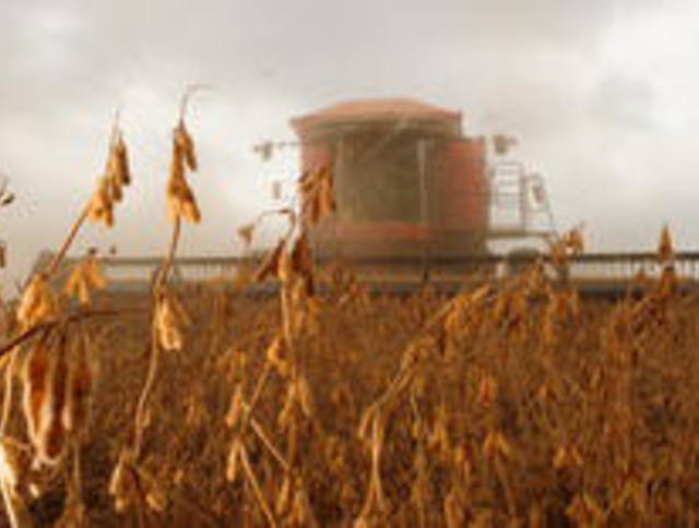 RS inicia colheita da safra 2015/2016 de soja