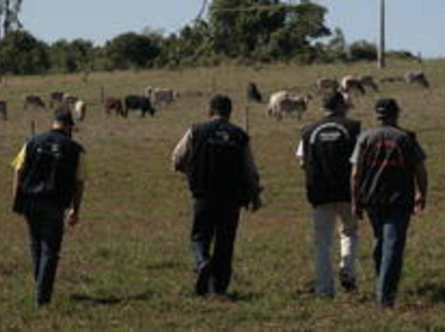 Controle de produto de origem animal ganha rapidez