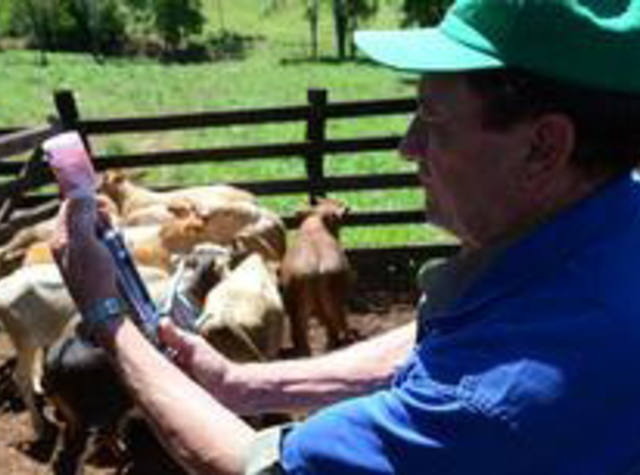 Audiência pública na Câmara debate exercício da zootecnia por agrônomos e veterinários