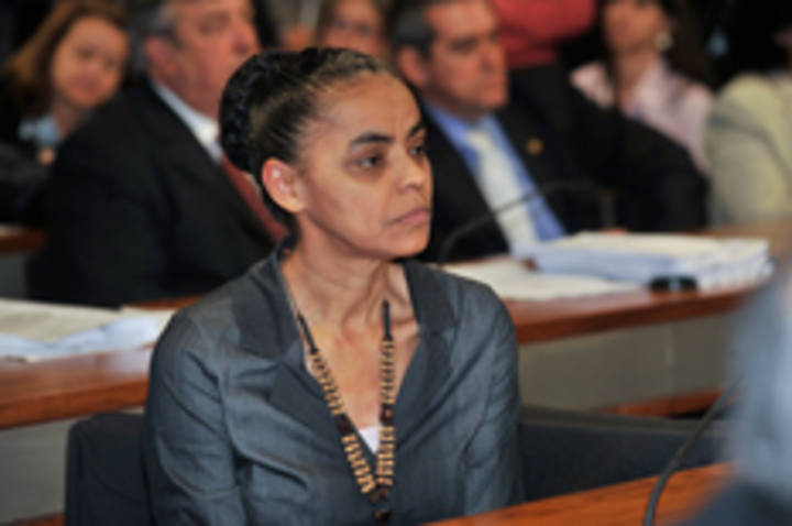 Código Florestal: novo texto alivia quem desmatou, diz Marina Silva