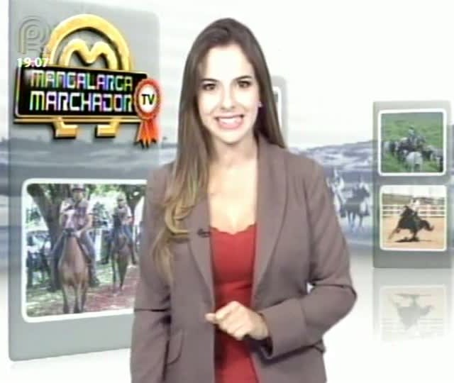 Mangalarga Marchador TV mostra trabalho do Haras Gabiroba - Parte 1