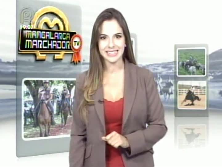 Mangalarga Marchador TV mostra trabalho do Haras Gabiroba - Parte 1