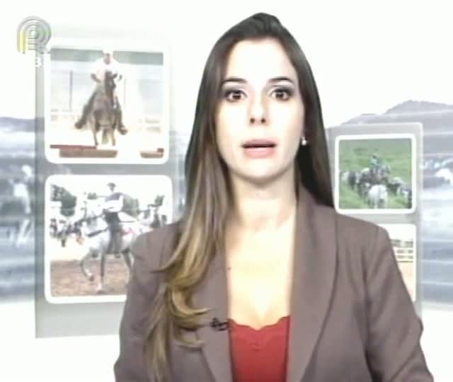 Mangalarga Marchador TV mostra trabalho do Haras Gabiroba - Parte 2