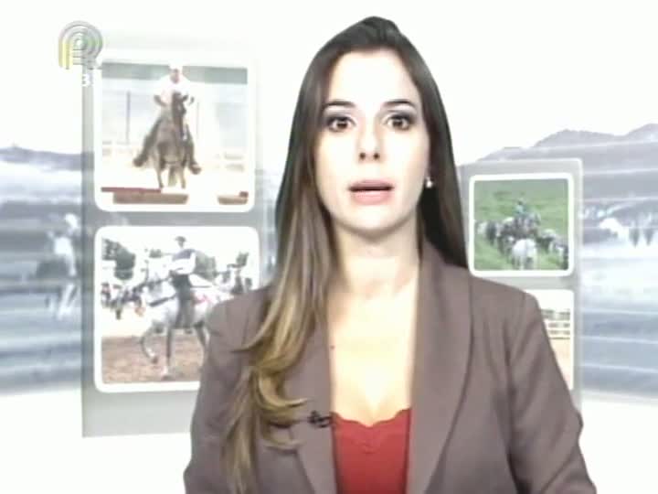 Mangalarga Marchador TV mostra trabalho do Haras Gabiroba - Parte 2