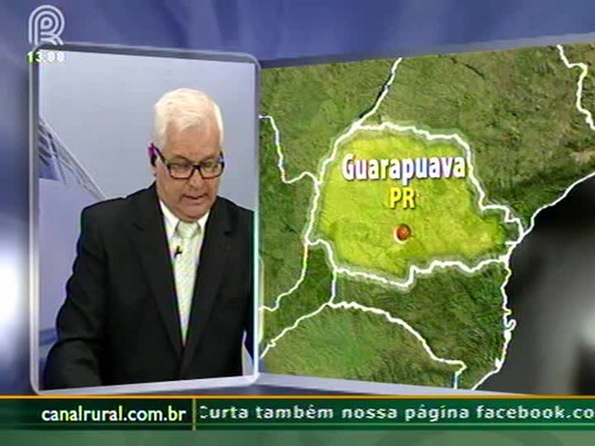 Preços do trigo estão abaixo do valor mínimo em Guarapuava (PR)