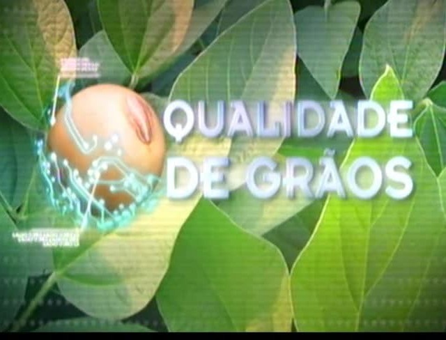 Qualidade de grãos: projeto mostra como produtores podem se preparar para o futuro Qualidade de grãos: projeto mostra como produtores podem se preparar para o futuro