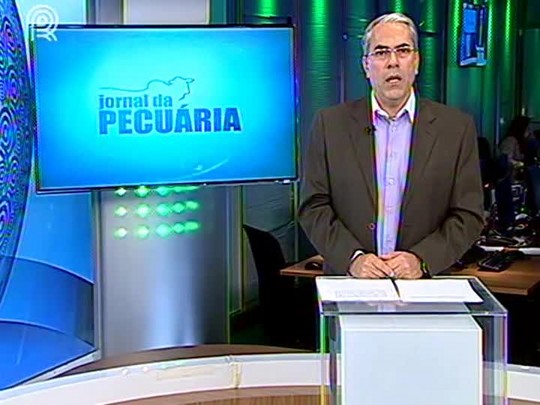 Preço em alta dos bezerros desperta interesse dos pecuaristas pelas novilhas