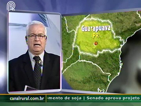 Plantio de trigo em Guarapuava, no Paraná, deve começar no dia 20 de junho