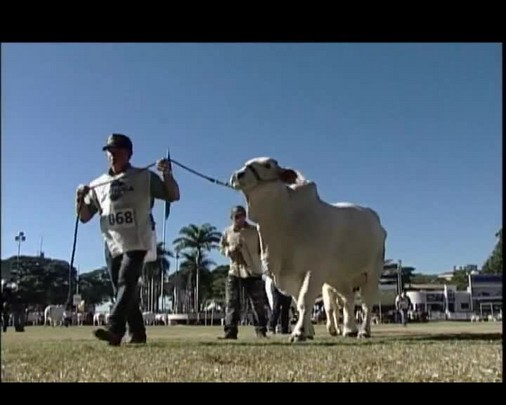 ExpoZebu termina em Uberaba com homenagem ao Canal Rural