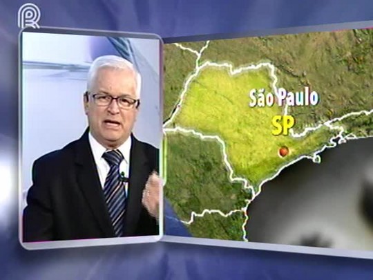 Ofertas de boi gordo trazem a expectativa de um início de mês mais forte em relação à maio