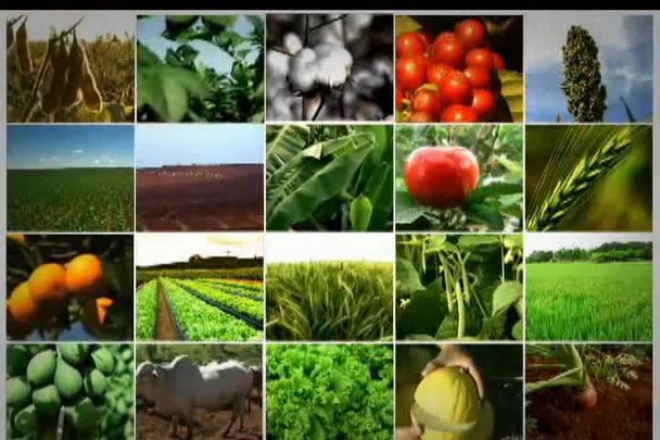 Tecnologia do Campo analisa mercado de máquinas agrícolas brasileiros