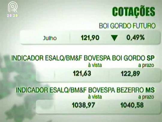 Segue a pressão de baixa no mercado do boi gordo