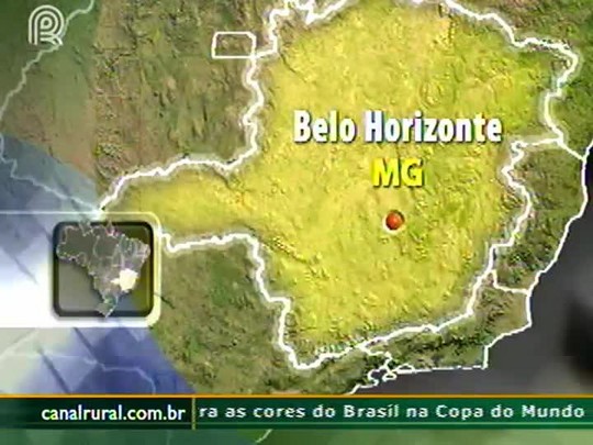 Criação do vazio sanitário em Minas Gerais pode interferir na safra de feijão