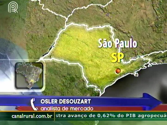 Com o objetivo de diminuir importações de suínos, Rússia mantém ligação externa apenas com Brasil