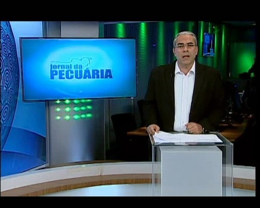 Lance Rural é um novo conceito de leilão de gado comercial