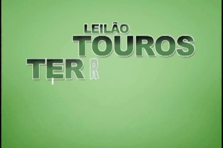 Leilão Touros Terra Boa