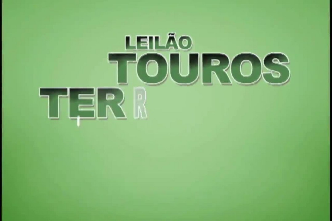 Leilão Touros Terra Boa