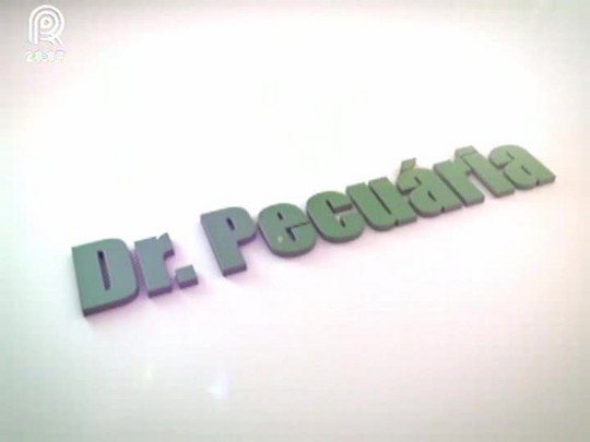 Dr. Pecuária: Habilidade materna