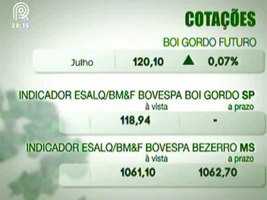 Mercado do boi gordo tem pressão baixista e poucos negócios nesta quinta, dia 10