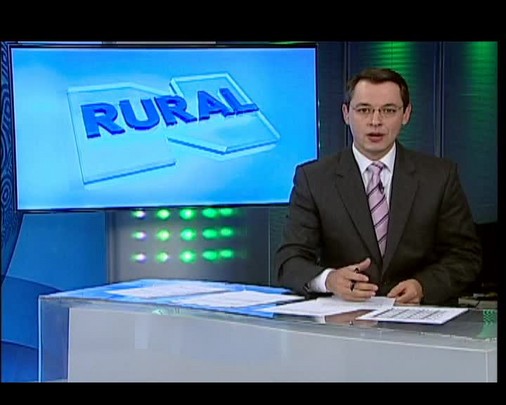 Canal Rural lança um novo modelo de leilão de gado comercial