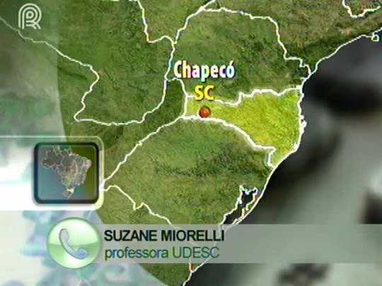 Pecuaristas de Pinhalzinho (SC) veem necessidade da criação de uma estrutura para garantir qualidade do leite