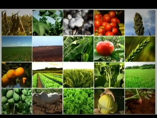 Tecnologia do Campo mostra novidades na cafeicultura