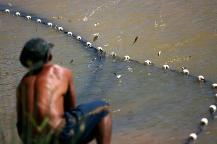 aquicultura