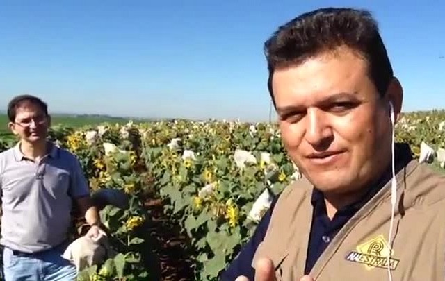 Vlog 19 Na Estrada – O sexo dos girassóis