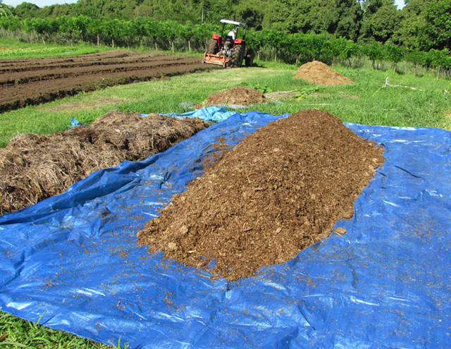 Aprenda cinco técnicas para melhorar a produção agropecuária