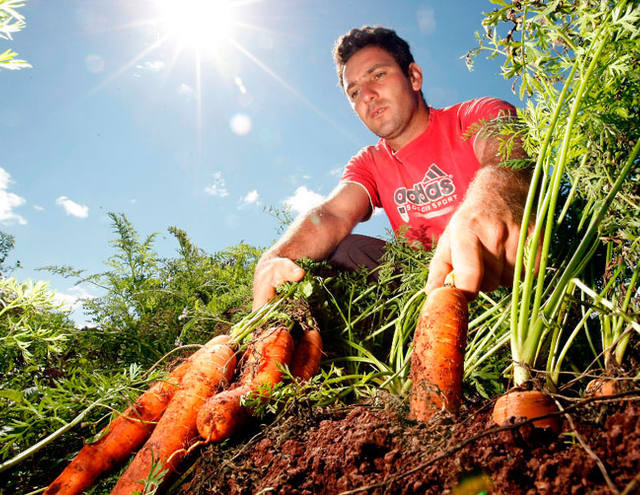 Agricultura Familiar terá recorde de R$ 30 bilhões