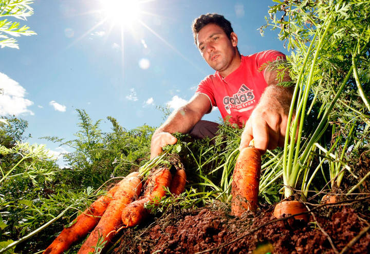 Agricultura Familiar terá recorde de R$ 30 bilhões