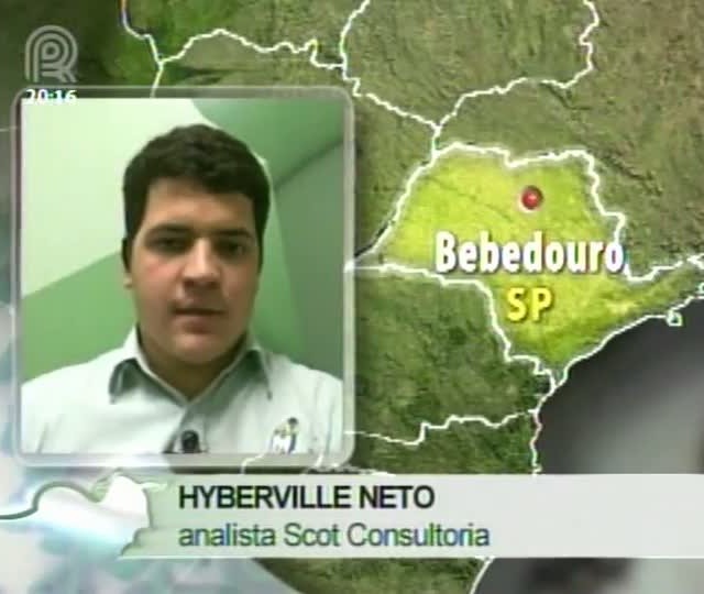 Analista da Scot Consultoria fala sobre o mercado de boi gordo