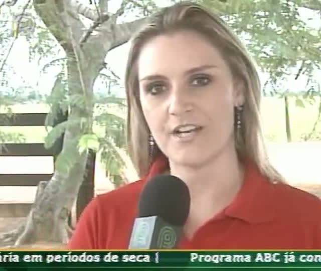 Rota da Pecuária entrevista especialista em genética para melhoramento de rebanhos